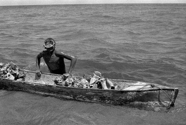 Sea at work
